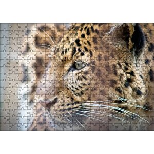 Muhteşem Güzellikteki Leopar Yakın Çekim Puzzle Yapboz Mdf Ahşap 255 Parça