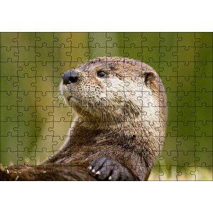 Su Samuru Yakın Plan Puzzle Yapboz Mdf Ahşap 120 Parça
