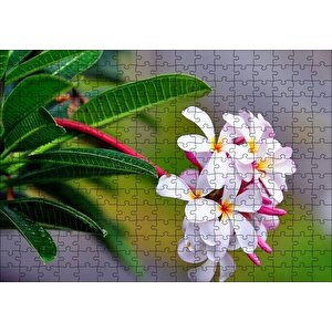Beyaz Sarı Plumeria Çiçeği Görseli Puzzle Yapboz Mdf Ahşap 255 Parça