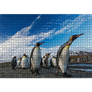 Karlı Topraklar Ve Penguenler Puzzle Yapboz Mdf Ahşap 1000 Parça