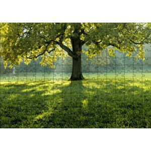 Yemyeşil Çayırdaki Yalnız Ağaç Ve Güneş Işıkları Puzzle Yapboz Mdf Ahşap 255 Parça