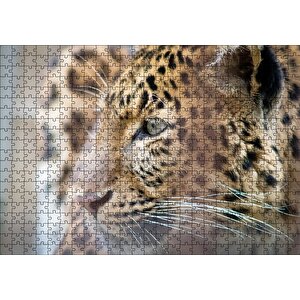 Muhteşem Güzellikteki Leopar Yakın Çekim Puzzle Yapboz Mdf Ahşap 500 Parça