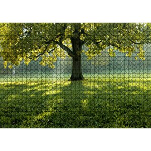 Yemyeşil Çayırdaki Yalnız Ağaç Ve Güneş Işıkları Puzzle Yapboz Mdf Ahşap 1000 Parça