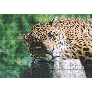 Kütüğün Üzerinde Dinlenen Leopar Yakın Çekim Puzzle Yapboz Mdf Ahşap 255 Parça