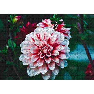 Pembe Beyaz Yıldız Çiçeği Puzzle Yapboz Mdf Ahşap 255 Parça
