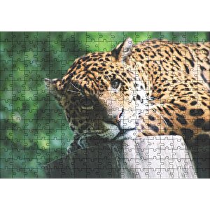 Kütüğün Üzerinde Dinlenen Leopar Yakın Çekim Puzzle Yapboz Mdf Ahşap 255 Parça
