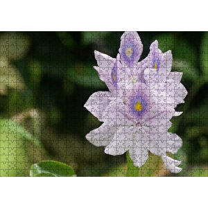 Sümbül Yakın Plan Puzzle Yapboz Mdf Ahşap 500 Parça