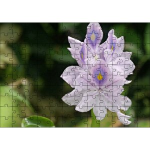 Sümbül Yakın Plan Puzzle Yapboz Mdf Ahşap 120 Parça