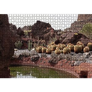 Yuvarlak Kaktüsler Ve Kayalar Puzzle Yapboz Mdf Ahşap 1000 Parça