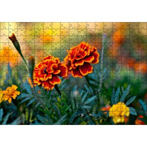 Turuncu Karanfil Çiçeği Görseli Puzzle Yapboz Mdf Ahşap 255 Parça