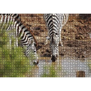 Savanada Su İçen Zebralar Puzzle Yapboz Mdf Ahşap 1000 Parça