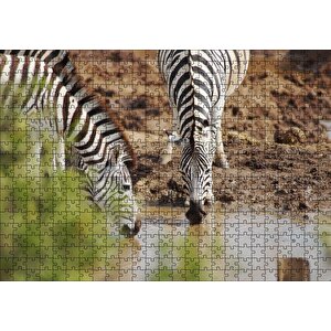 Savanada Su İçen Zebralar Puzzle Yapboz Mdf Ahşap 500 Parça