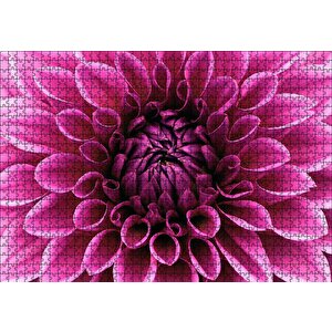 Pembe Dahlia Çiçeği Yakın Plan Puzzle Yapboz Mdf Ahşap 1000 Parça