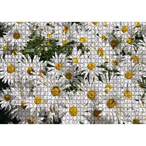 Beyaz Büyük Papatyalar Puzzle Yapboz Mdf Ahşap 1000 Parça