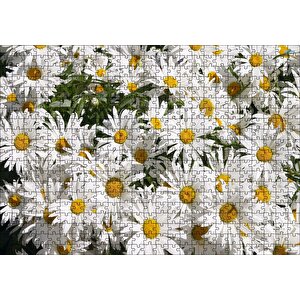 Beyaz Büyük Papatyalar Puzzle Yapboz Mdf Ahşap 500 Parça