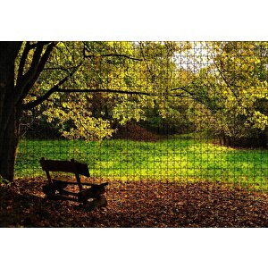 Ağaçlar Ve Koyu Gölgedeki Ahşap Bank Puzzle Yapboz Mdf Ahşap 1000 Parça