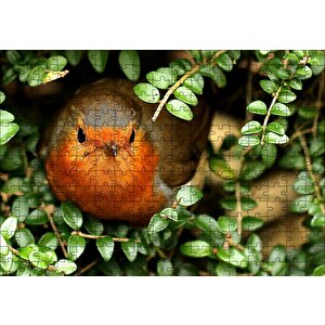Yeşil Yapraklar Arasındaki Kızıl Kuş Puzzle Yapboz Mdf Ahşap 255 Parça