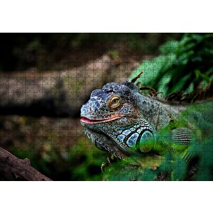 Muhteşem Renkleriyle Iguana Puzzle Yapboz Mdf Ahşap 500 Parça
