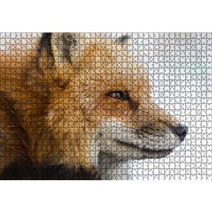 Uzakları İzleyen Kızıl Tilki Yakın Çekim Puzzle Yapboz Mdf Ahşap 1000 Parça