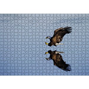 Beyaz Başlı Kartal Yansıma Puzzle Yapboz Mdf Ahşap 500 Parça