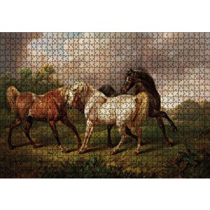 Dövüşen Kaslı Atlar Yağlı Boya Puzzle Yapboz Mdf Ahşap 1000 Parça