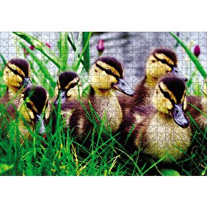 Çayırda Ördek Yavruları Puzzle Yapboz Mdf Ahşap 500 Parça