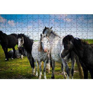 Çayırda Siyah Ve Beyaz Atlar Puzzle Yapboz Mdf Ahşap 255 Parça