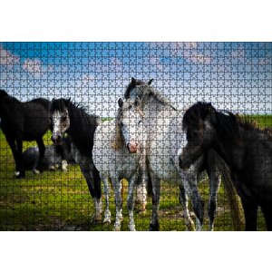 Çayırda Siyah Ve Beyaz Atlar Puzzle Yapboz Mdf Ahşap 1000 Parça