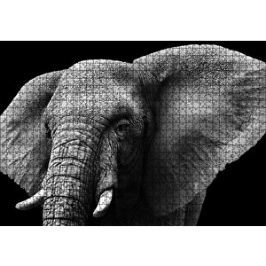 Yakın Plan Fil Siyah Beyaz Puzzle Yapboz Mdf Ahşap 1000 Parça