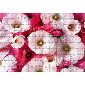 Pembeli Beyazlı Kapriz Çiçeği Görseli Puzzle Yapboz Mdf Ahşap 120 Parça