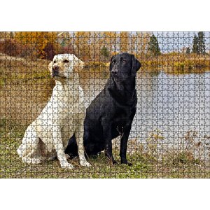 Göl Kenarındaki Beyaz Ve Siyah Labradorlar Puzzle Yapboz Mdf Ahşap 1000 Parça