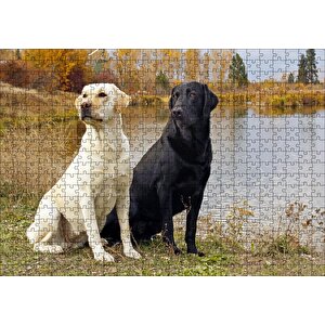 Göl Kenarındaki Beyaz Ve Siyah Labradorlar Puzzle Yapboz Mdf Ahşap 500 Parça