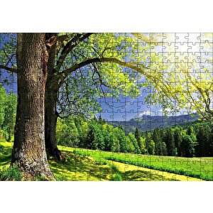 Yemyeşil Ağaçlar Ve Güneş Işıkları Puzzle Yapboz Mdf Ahşap 255 Parça