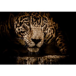 Jaguar Pusuda Yakın Plan Puzzle Yapboz Mdf Ahşap 1000 Parça