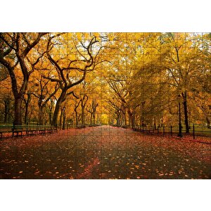 Sonbahar Sarı Kızıl Yapraklar Ağaçlı Yol Puzzle Yapboz Mdf Ahşap 500 Parça