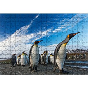 Cakapuzzle  Karlı Topraklar Ve Penguenler Puzzle Yapboz Mdf Ahşap
