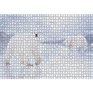 Kutup Ayıları Karlar Ve Buz Kütleleri Puzzle Yapboz Mdf Ahşap 1000 Parça