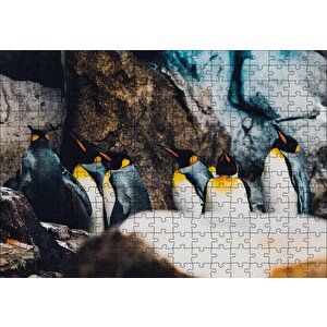 Kral Penguenleri Puzzle Yapboz Mdf Ahşap 255 Parça