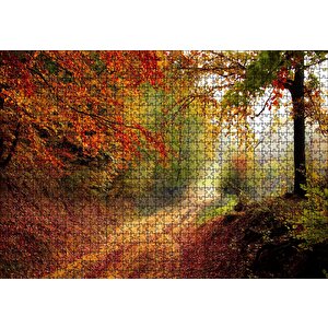 Sonbahar Renkleri, Yapraklar Ve Ormandaki Patika Puzzle Yapboz Mdf Ahşap 1000 Parça