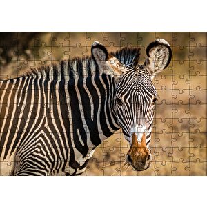Zebra Ve Muhteşem Dalgalı Şeritleri Puzzle Yapboz Mdf Ahşap 120 Parça