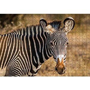 Zebra Ve Muhteşem Dalgalı Şeritleri Puzzle Yapboz Mdf Ahşap 500 Parça