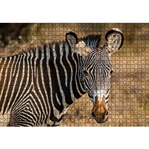 Zebra Ve Muhteşem Dalgalı Şeritleri Puzzle Yapboz Mdf Ahşap 1000 Parça