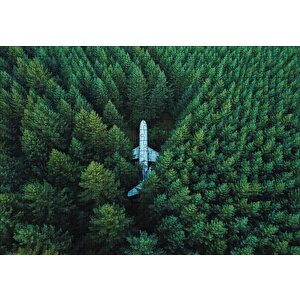 Kuşbakışı Ormanın Ortasındaki Uçak Puzzle Yapboz Mdf Ahşap 500 Parça
