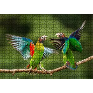 Sevda Papağanları Puzzle Yapboz Mdf Ahşap 1000 Parça