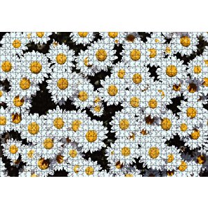 Bembeyaz Papatyalar Puzzle Yapboz Mdf Ahşap 1000 Parça