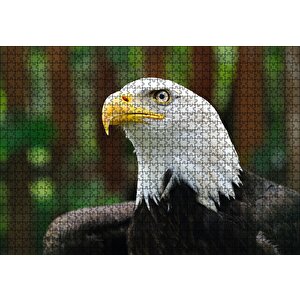 Akbaşlı Kartal Yakın Plan Puzzle Yapboz Mdf Ahşap 1000 Parça