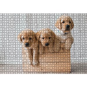 Kasada Golden Yavruları Puzzle Yapboz Mdf Ahşap 1000 Parça