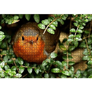 Yeşil Yapraklar Arasındaki Kızıl Kuş Puzzle Yapboz Mdf Ahşap 1000 Parça