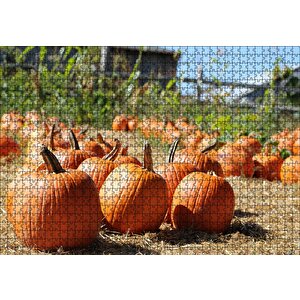Tarlada Toplanmayı Bekleyen Kabaklar Puzzle Yapboz Mdf Ahşap 1000 Parça