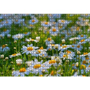 Papatya Tarlası Puzzle Yapboz Mdf Ahşap 1000 Parça